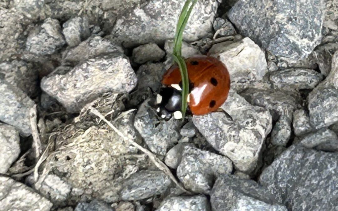Was ist Glück?