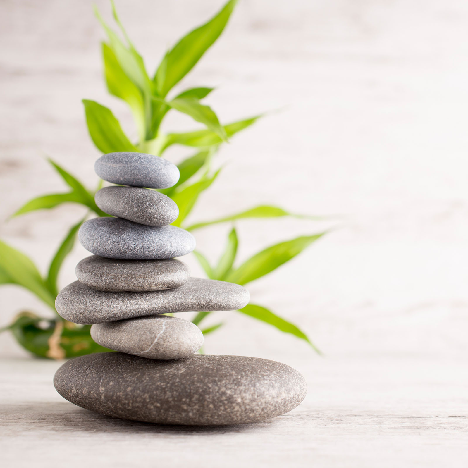 Spasteine als Symbol für Körperpsychotherapie